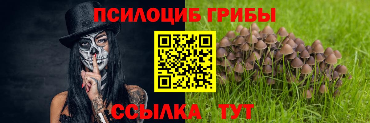 Чапаевск  Псилоцибиновые грибы прущие грибы  Вход с VPN 